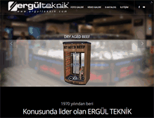 Tablet Screenshot of ergulteknik.com